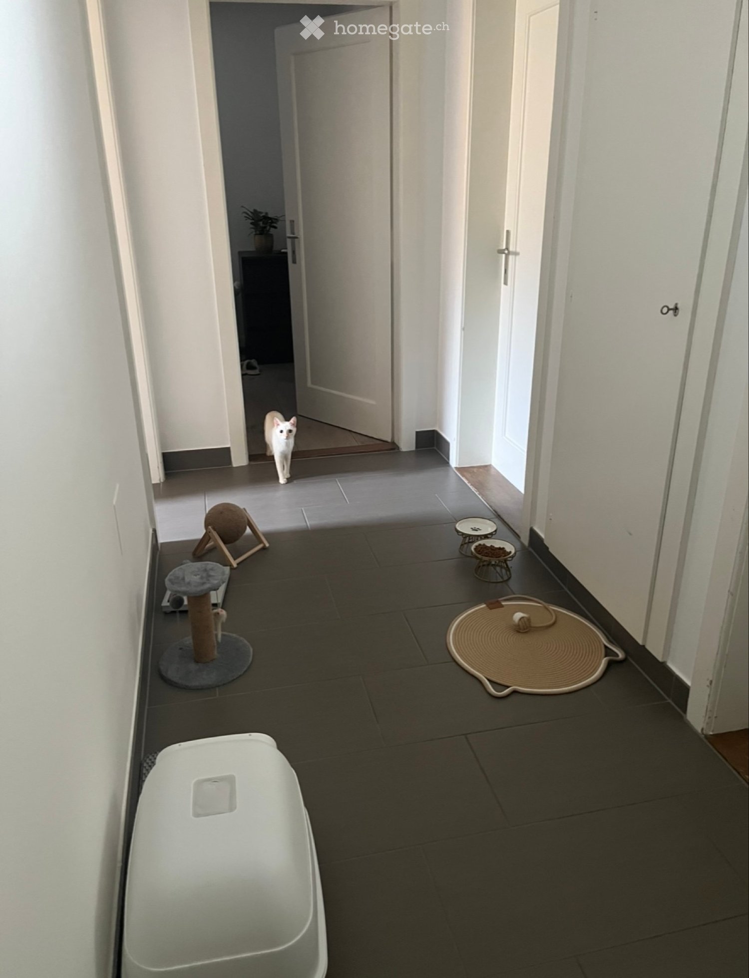 1 room single room, photo 5 sur 5