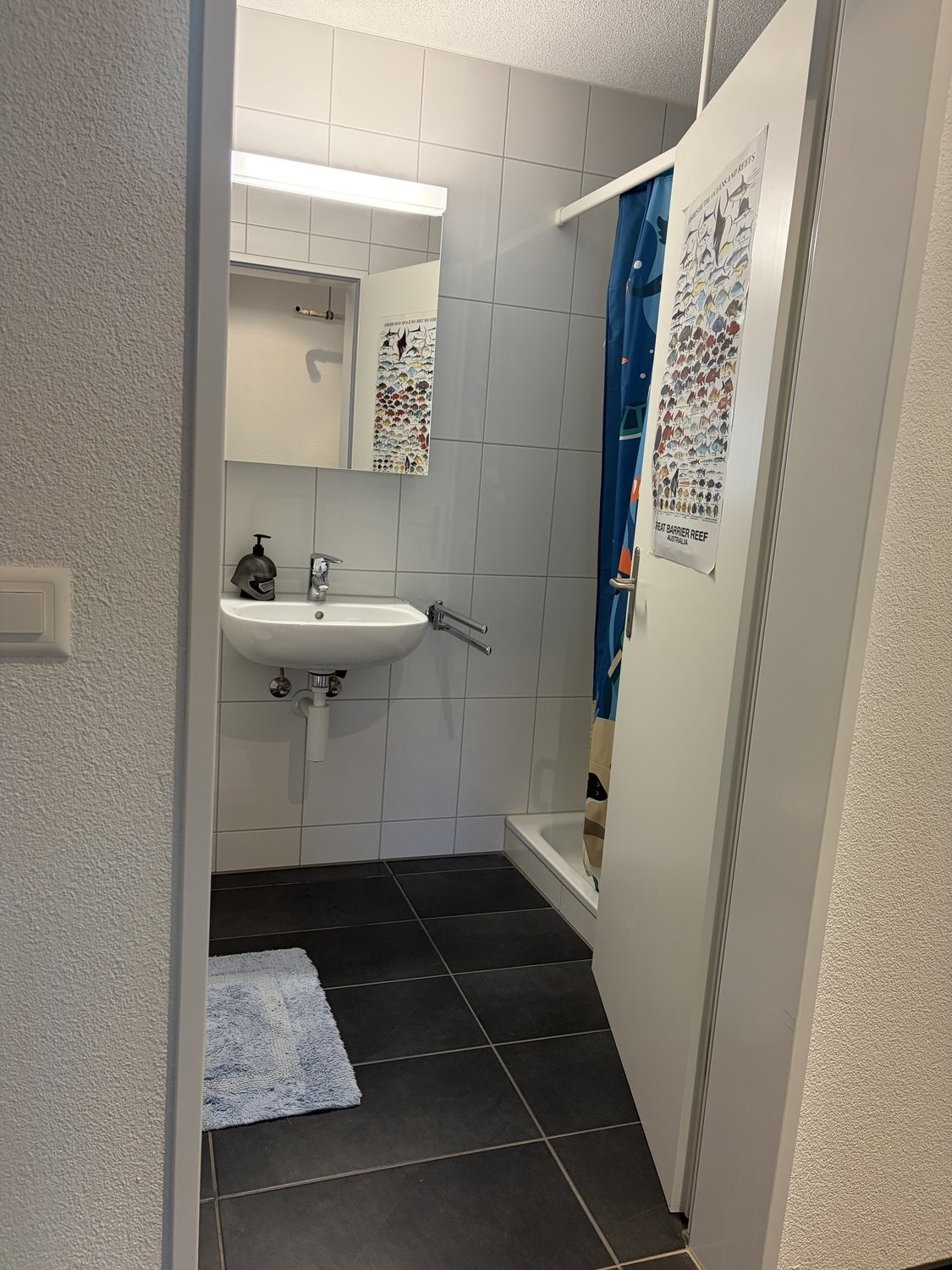 Appartement meublé de 3 ½ pièces, photo 8 sur 10