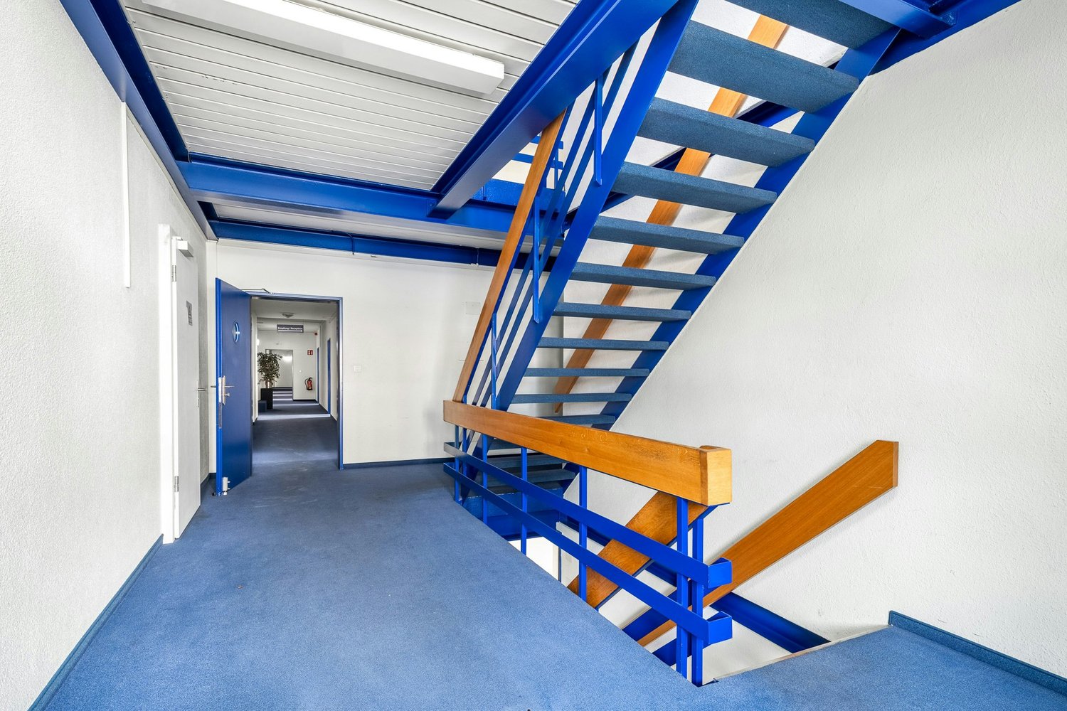 5400m² commercial