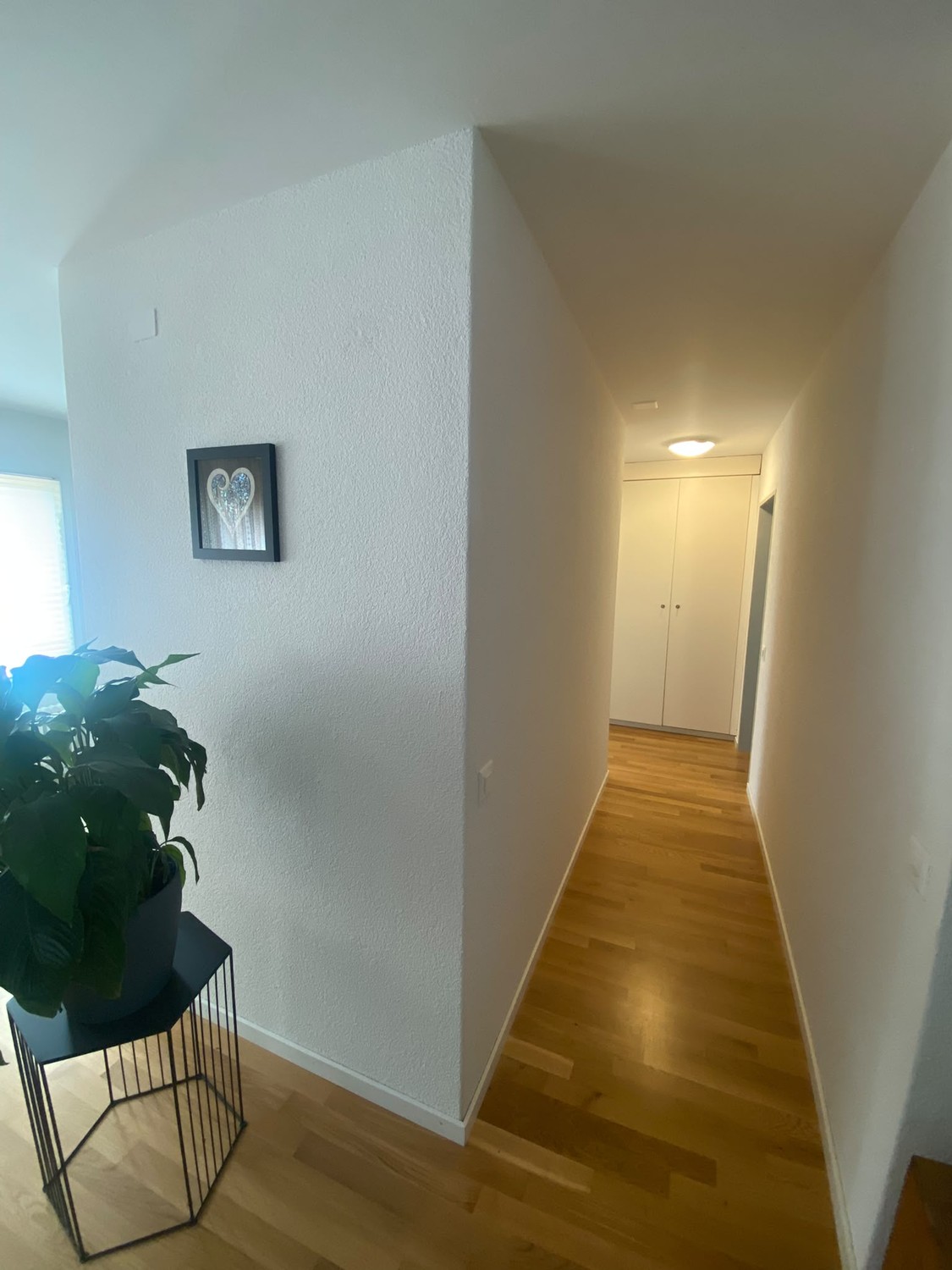 Appartement de 2 ½ pièces
