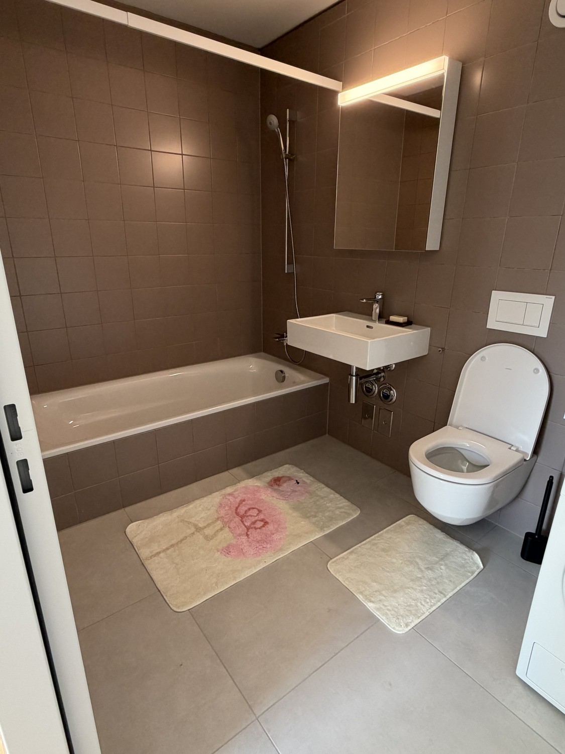 Appartement de 3 ½ pièces