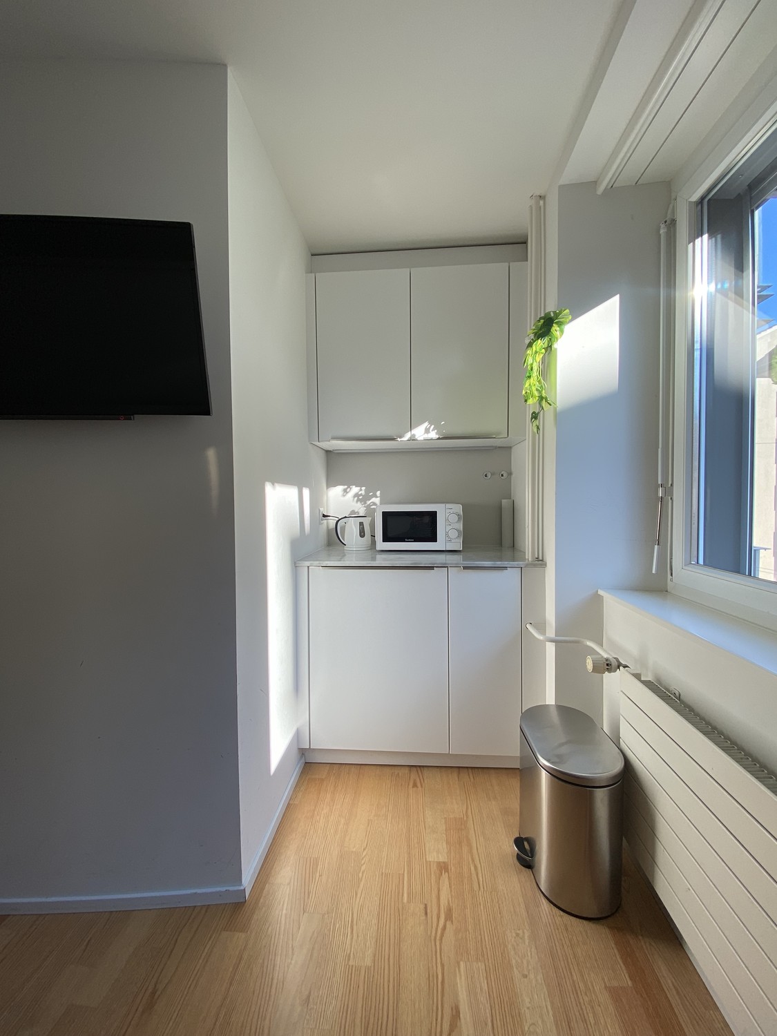 Appartement de 1 ½ pièces
