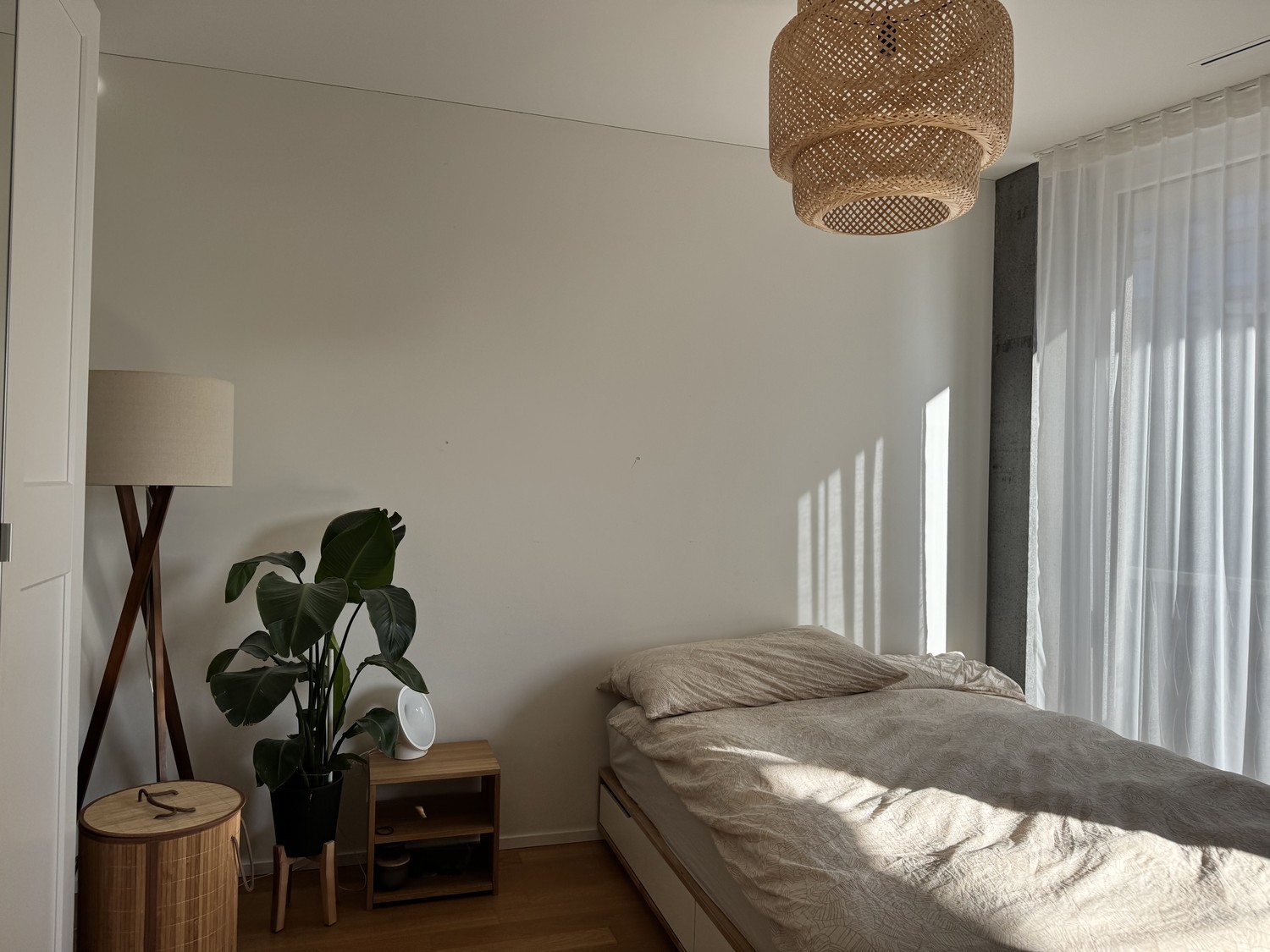 Chambre en colocation