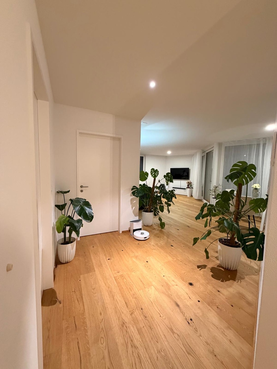 Appartement de 1 ½ pièces, photo 1 sur 10