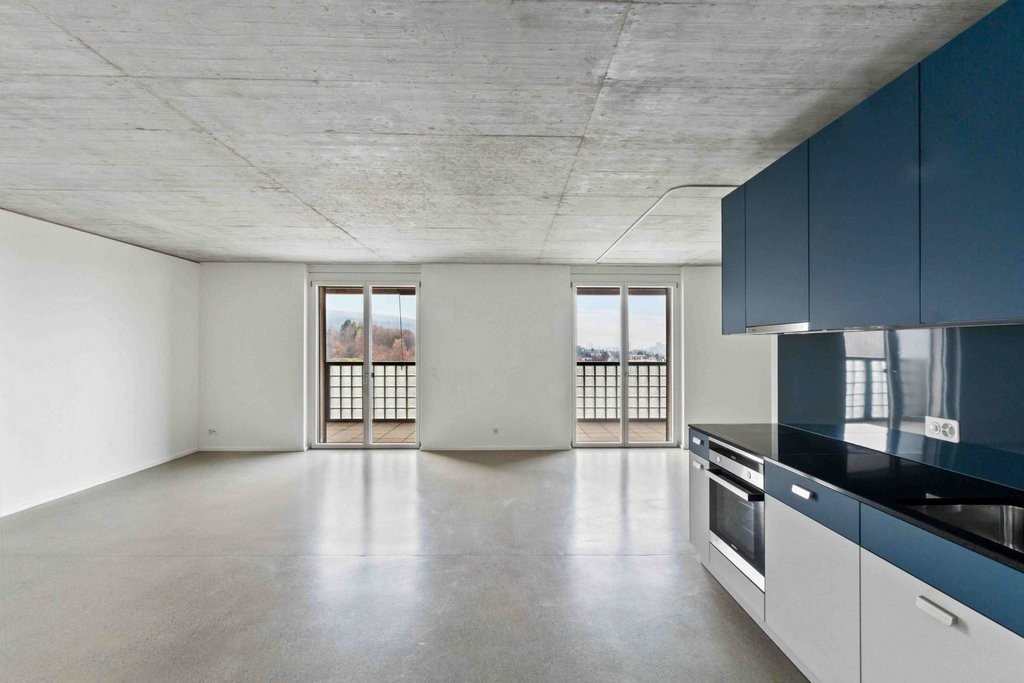 loft 1 pièce