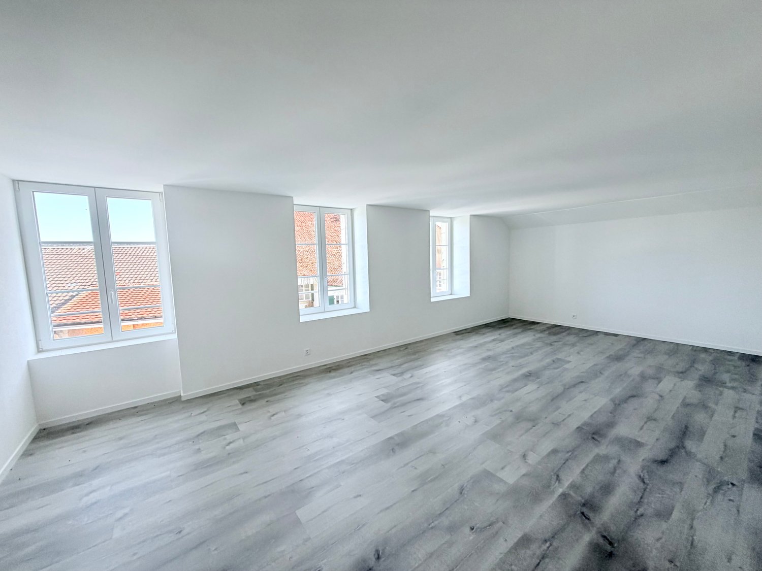 3 ½ rooms apartment, photo 2 sur 7