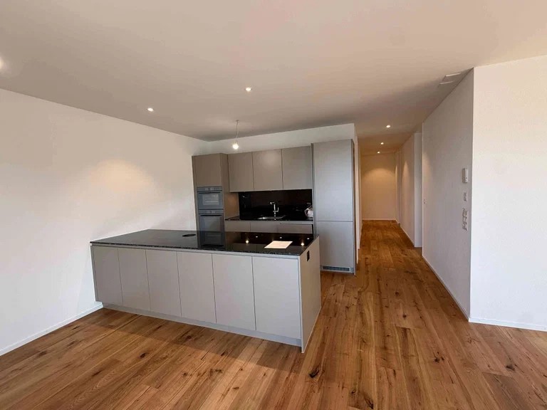 3 ½ rooms apartment, photo 2 sur 9