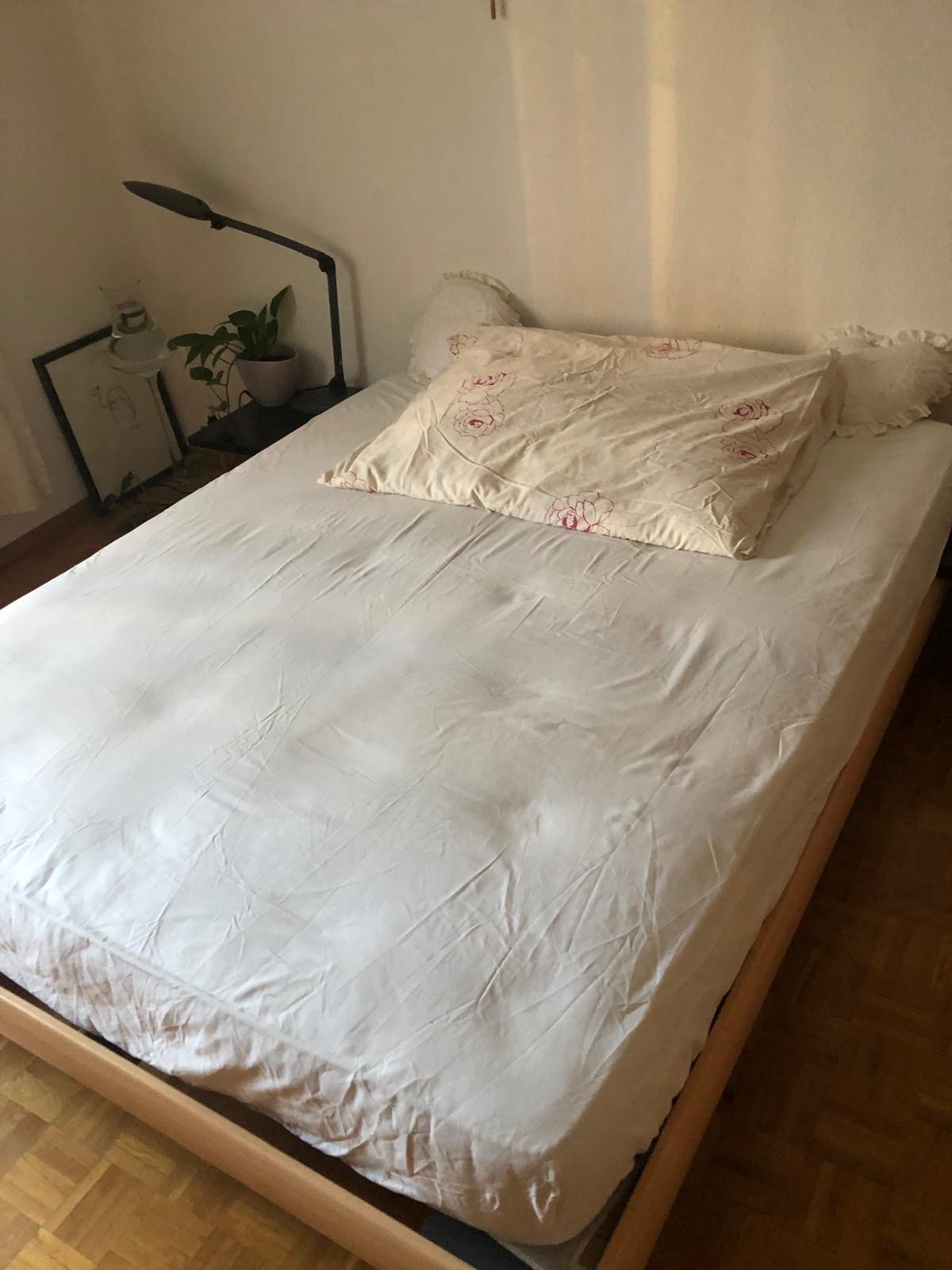 Chambre dans une colocation