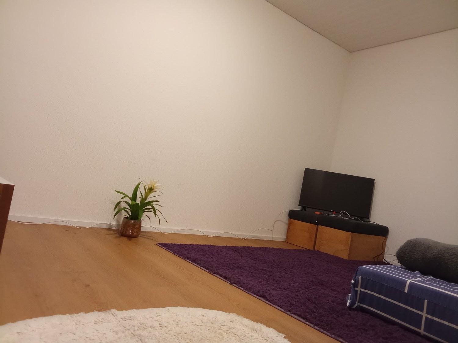 Appartement meublé de 2 ½ pièces, photo 1 sur 10