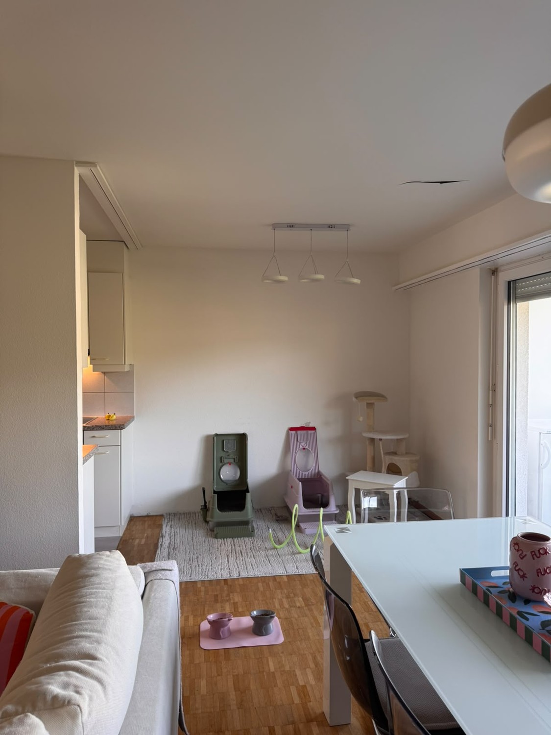 Appartement de 2 ½ pièces, photo 9 sur 10