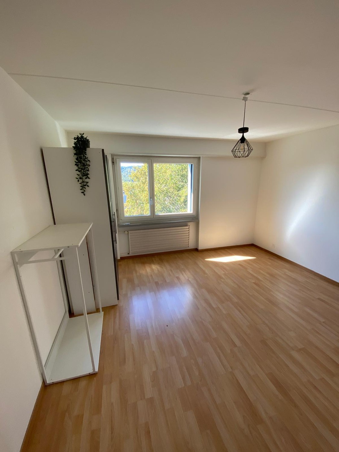 Chambre dans une colocation