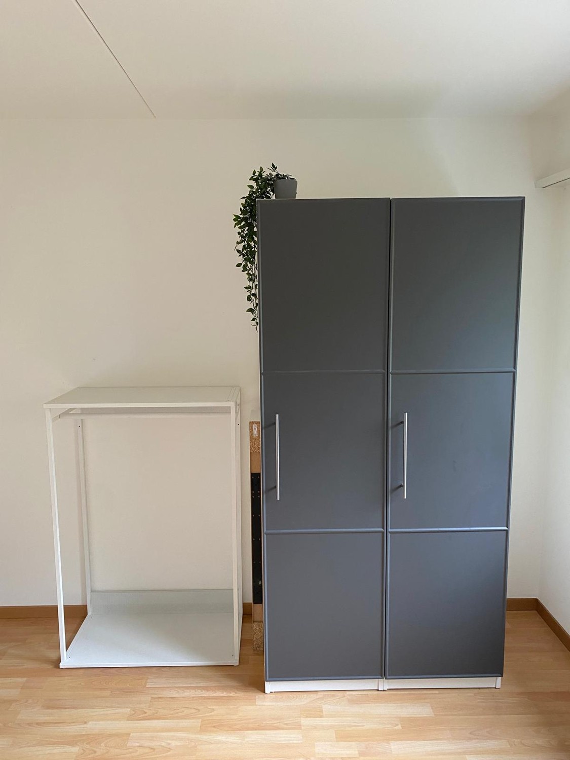 Chambre dans une colocation