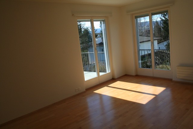 Maison individuelle de 3 ½ pièces, photo 2 sur 10
