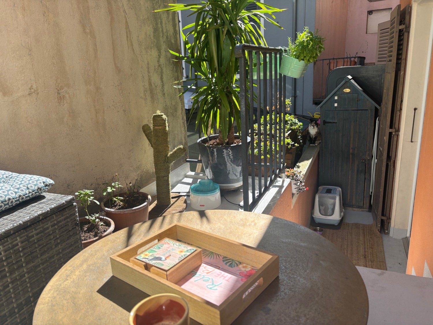 4 ½ rooms apartment, photo 9 sur 10