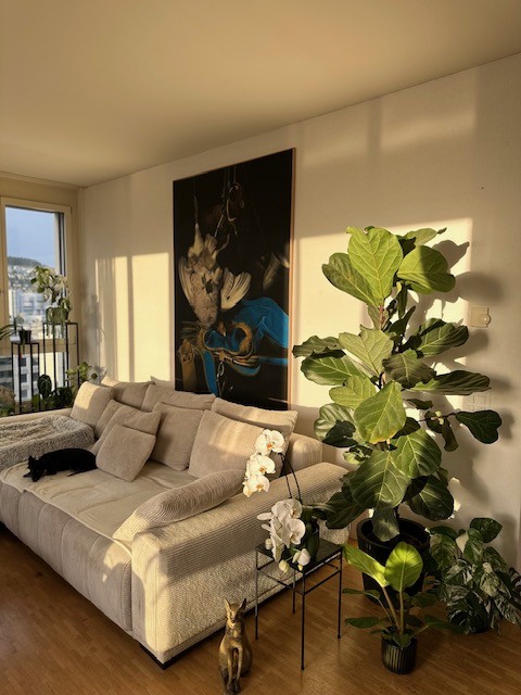 Chambre dans un appartement partagé, photo 1 sur 10