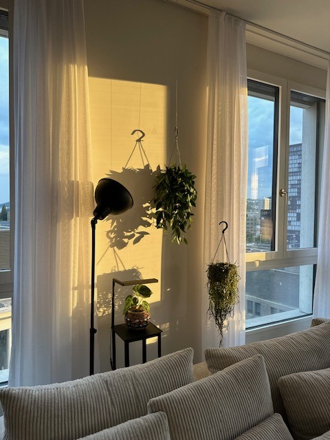 Chambre dans un appartement partagé, photo 7 sur 10