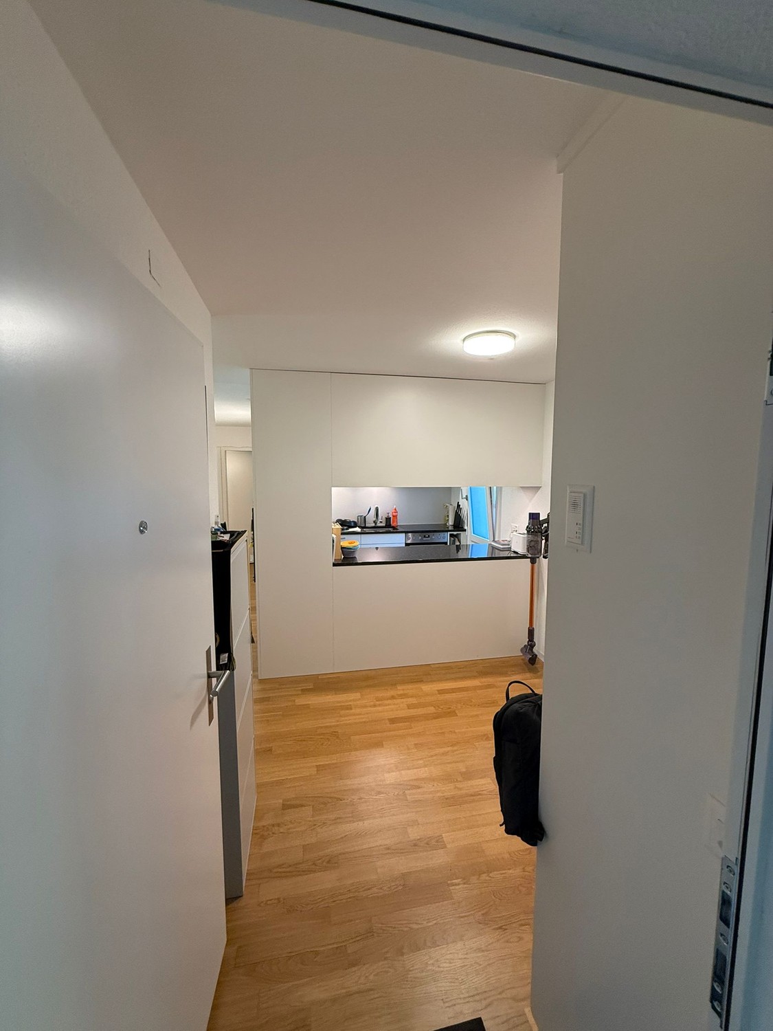 Appartement de 3 ½ pièces