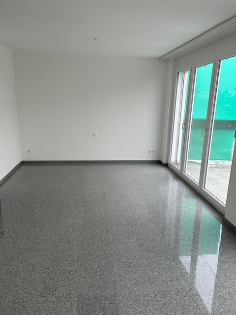 Maison individuelle de 5 ½ pièces, photo 9 sur 10