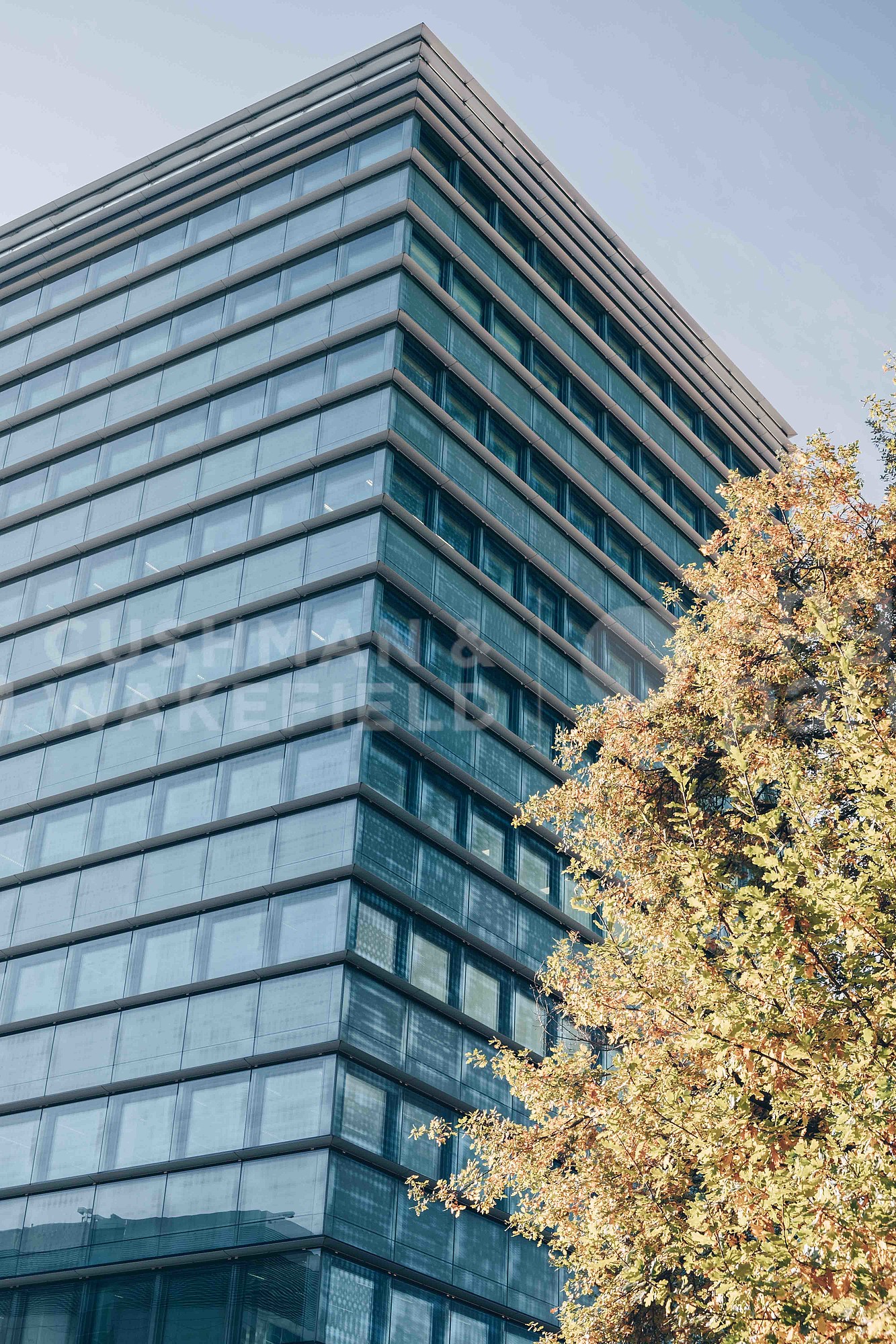 540m² office, photo 10 sur 10