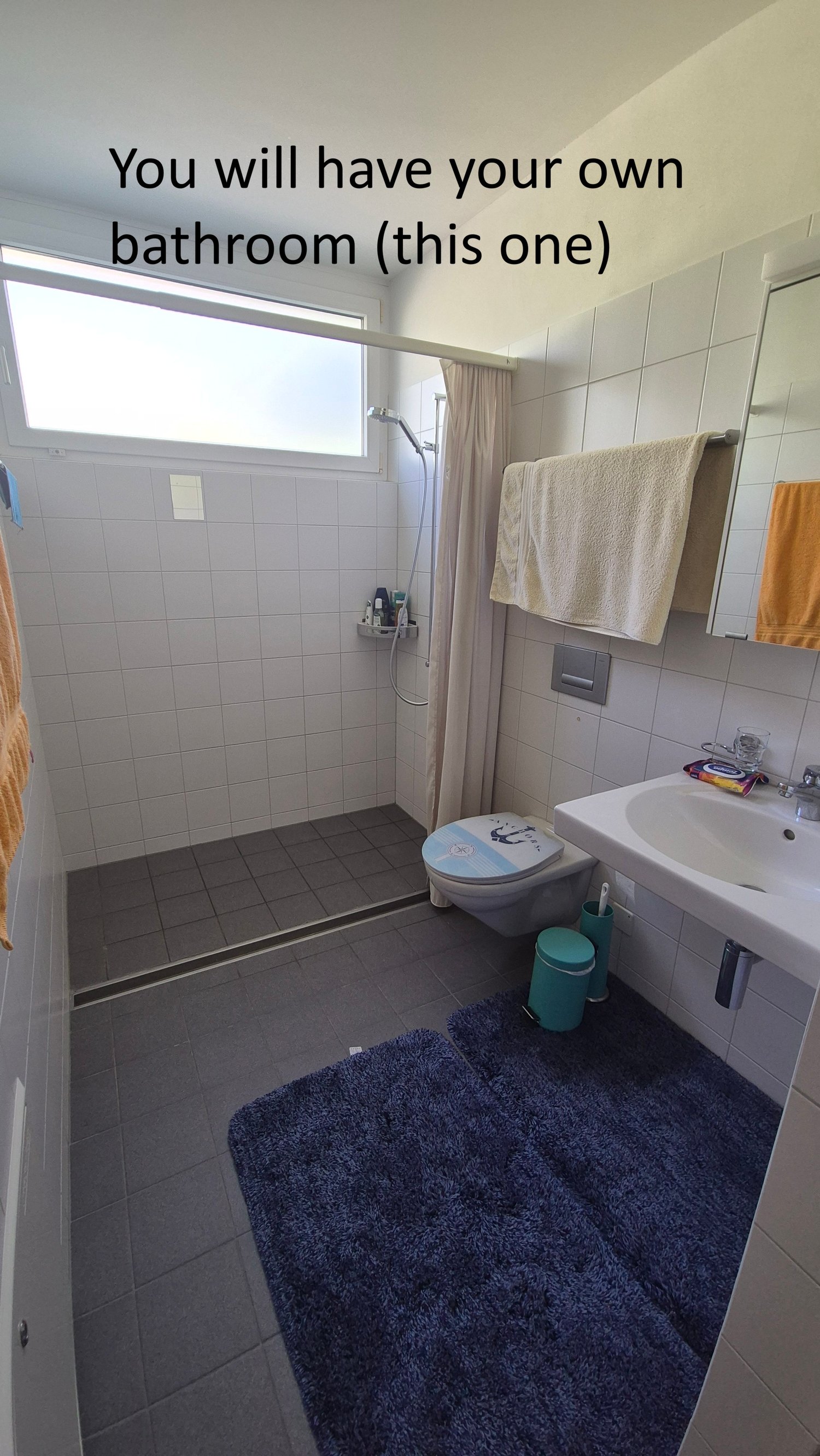 Chambre en colocation, photo 1 sur 7