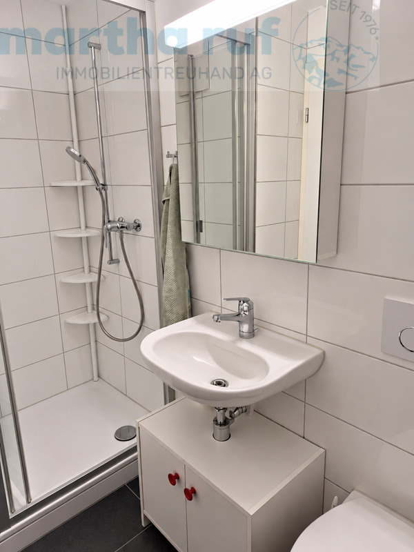 Appartement de 2 ½ pièces, photo 9 sur 10