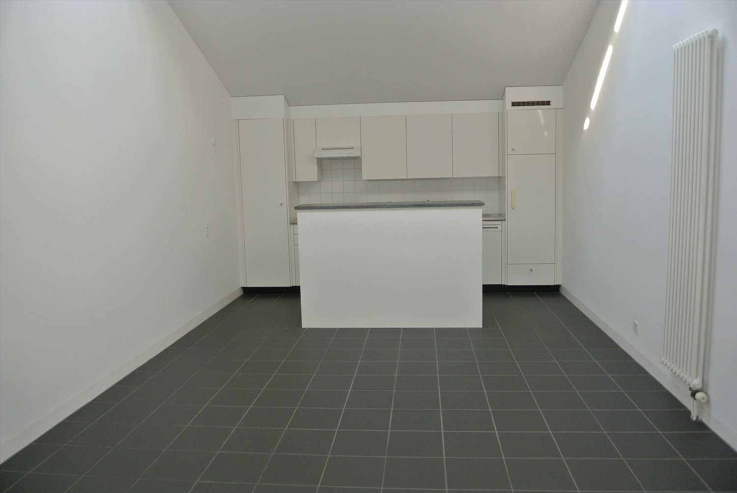Appartement de 2 ½ pièces, photo 2 sur 5