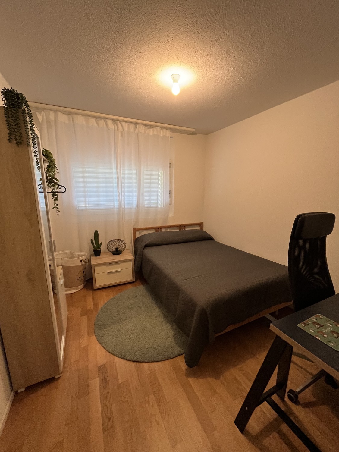 Appartement de 1 ½ pièces, photo 4 sur 8