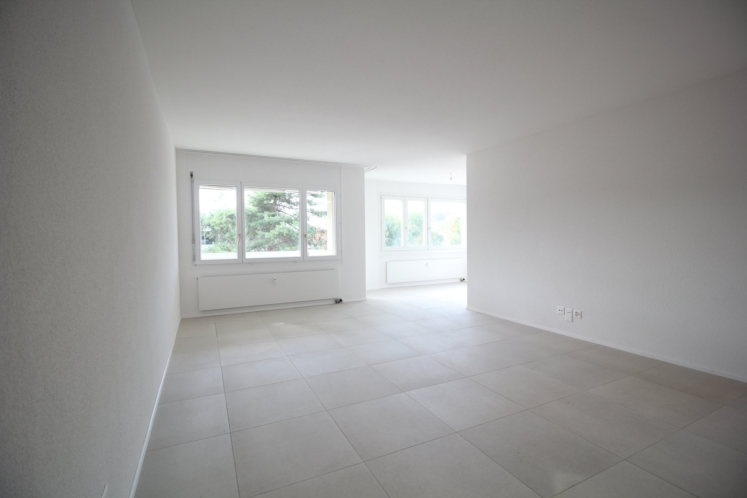 4 ½ rooms apartment