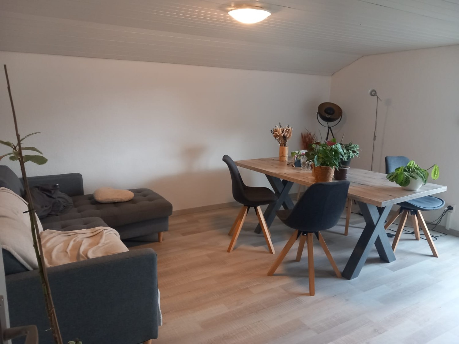 Appartement de 3 pièces, photo 1 sur 7