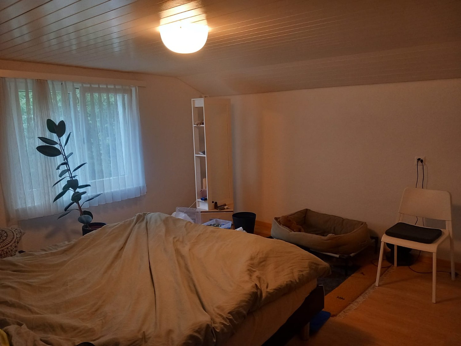 Appartement de 3 pièces, photo 5 sur 7