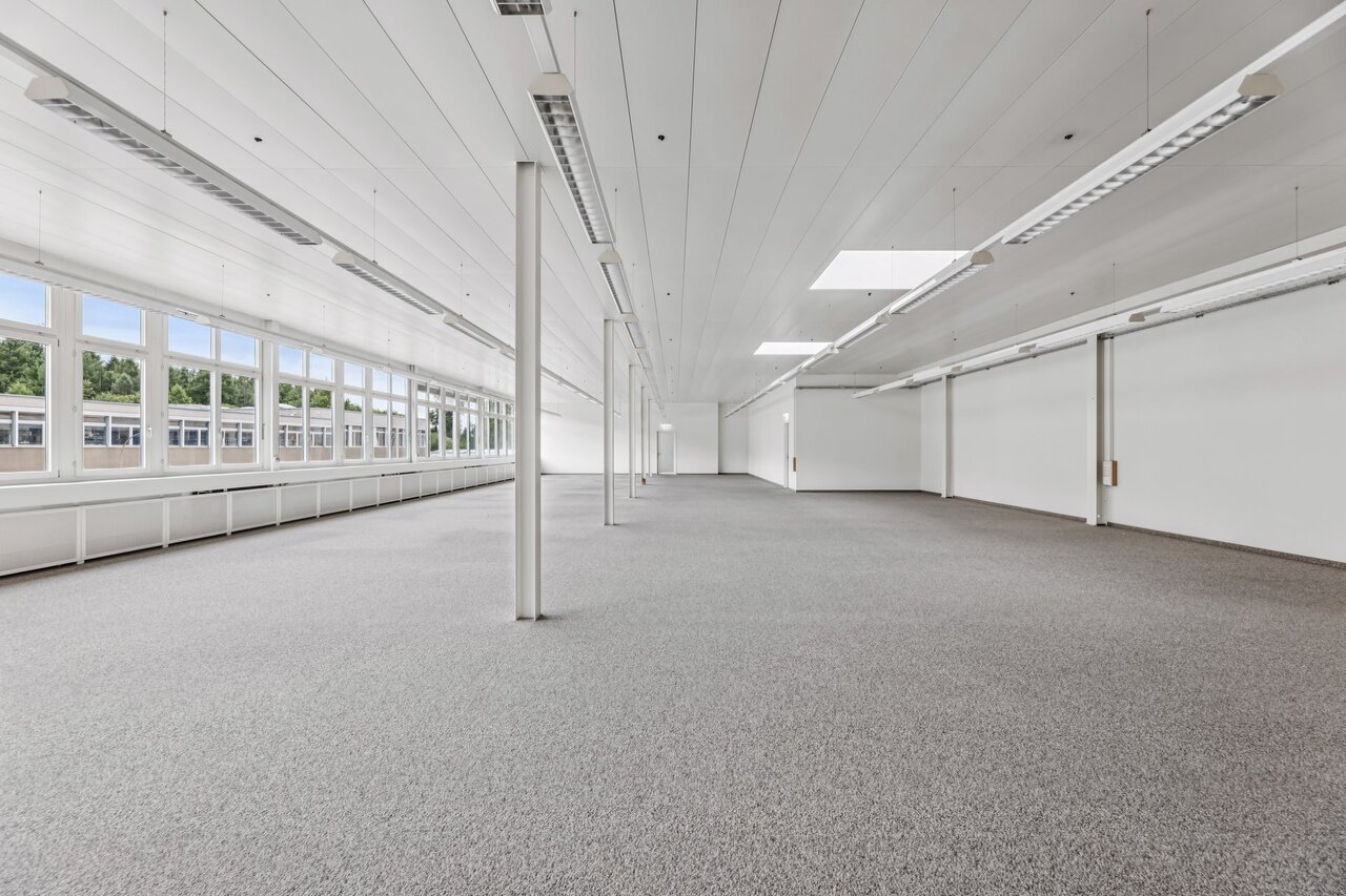331m² bureau, photo 5 sur 6