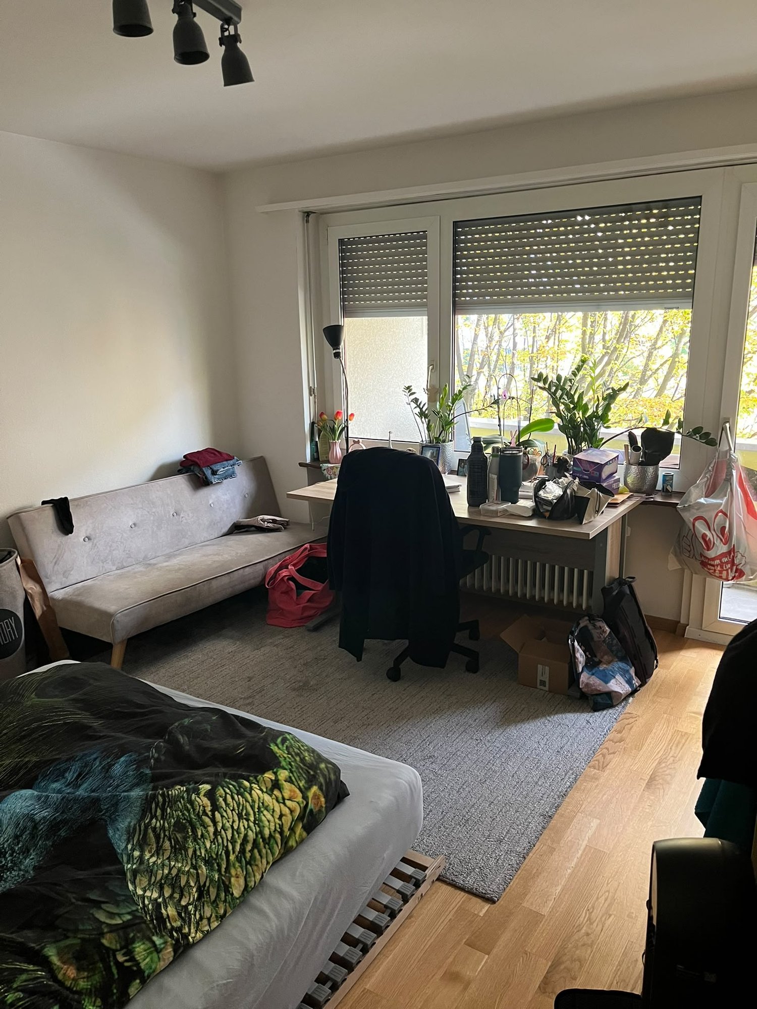 Chambre dans une colocation, photo 10 sur 10