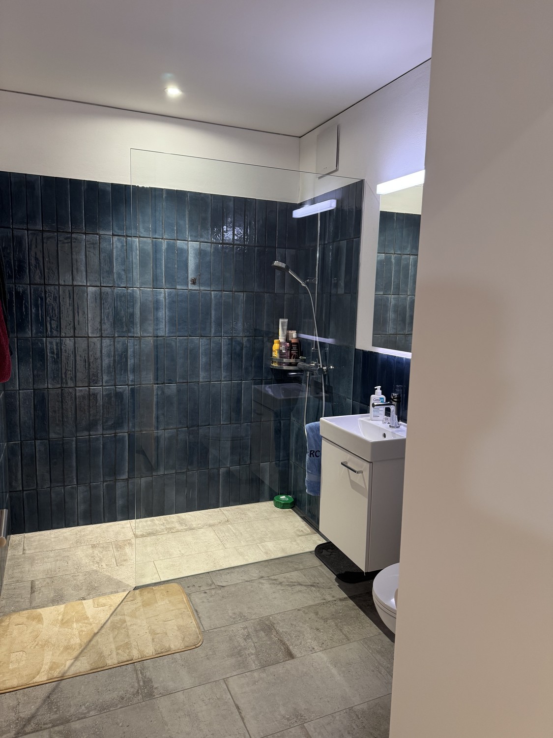 Appartement de 2 ½ pièces