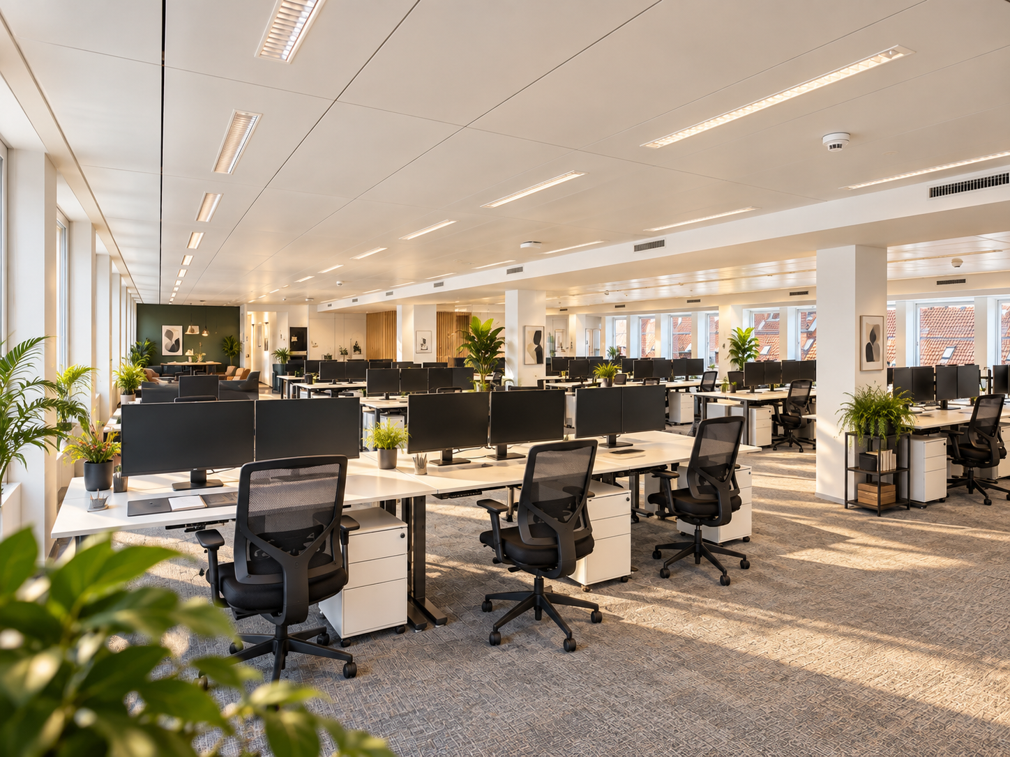 665m² bureau