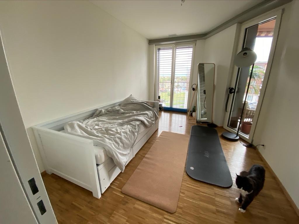 Room in a shared flat