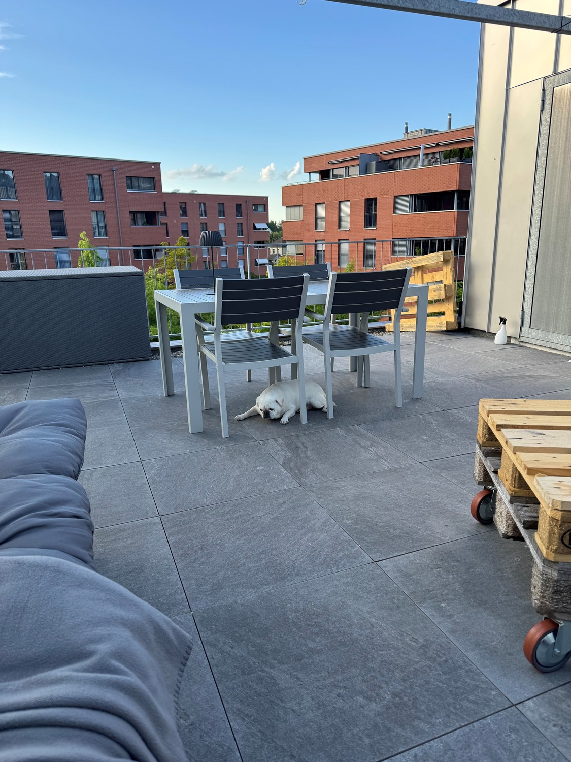 Appartement de 1 ½ pièces