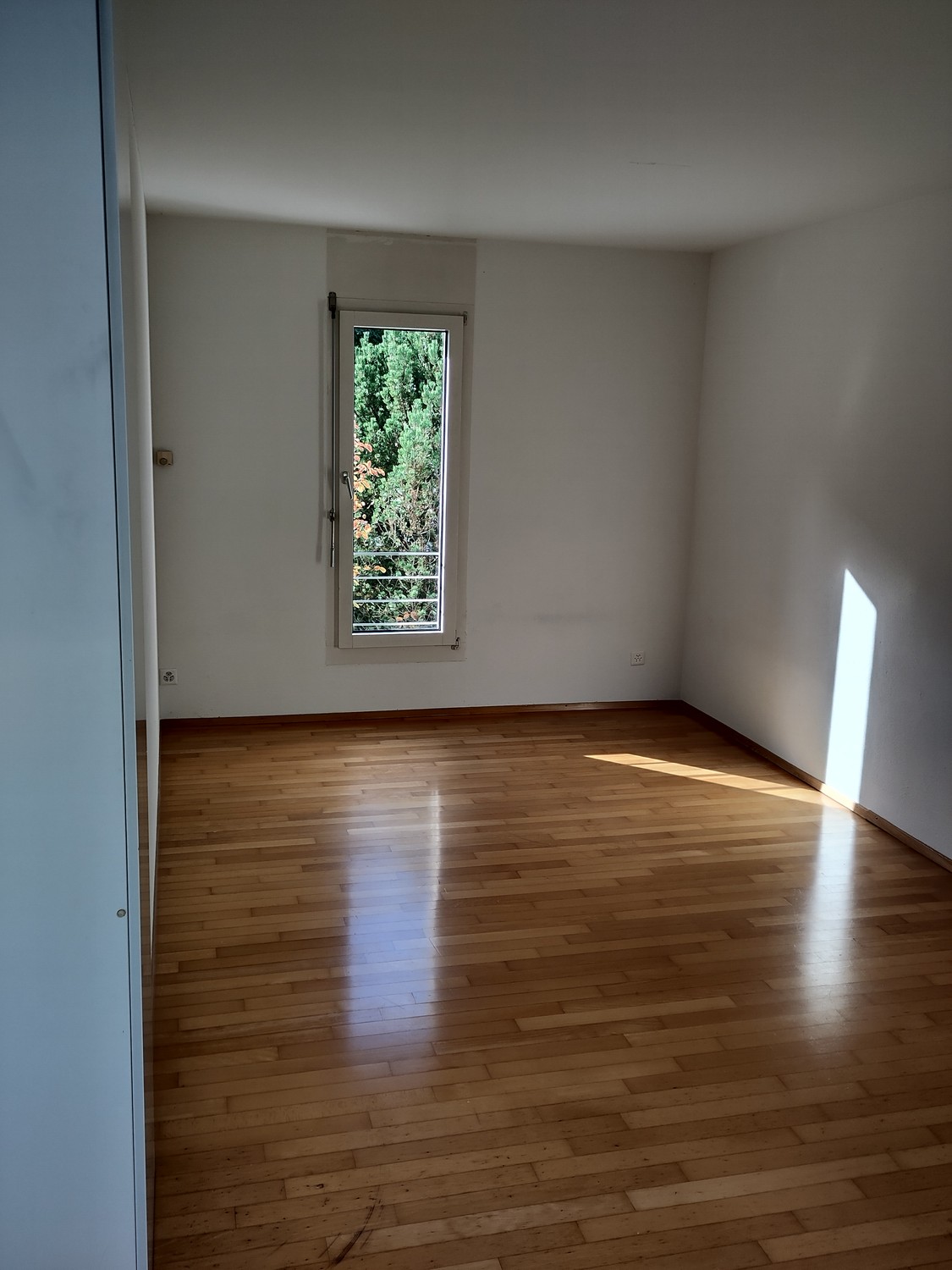 Chambre dans une colocation, photo 2 sur 8