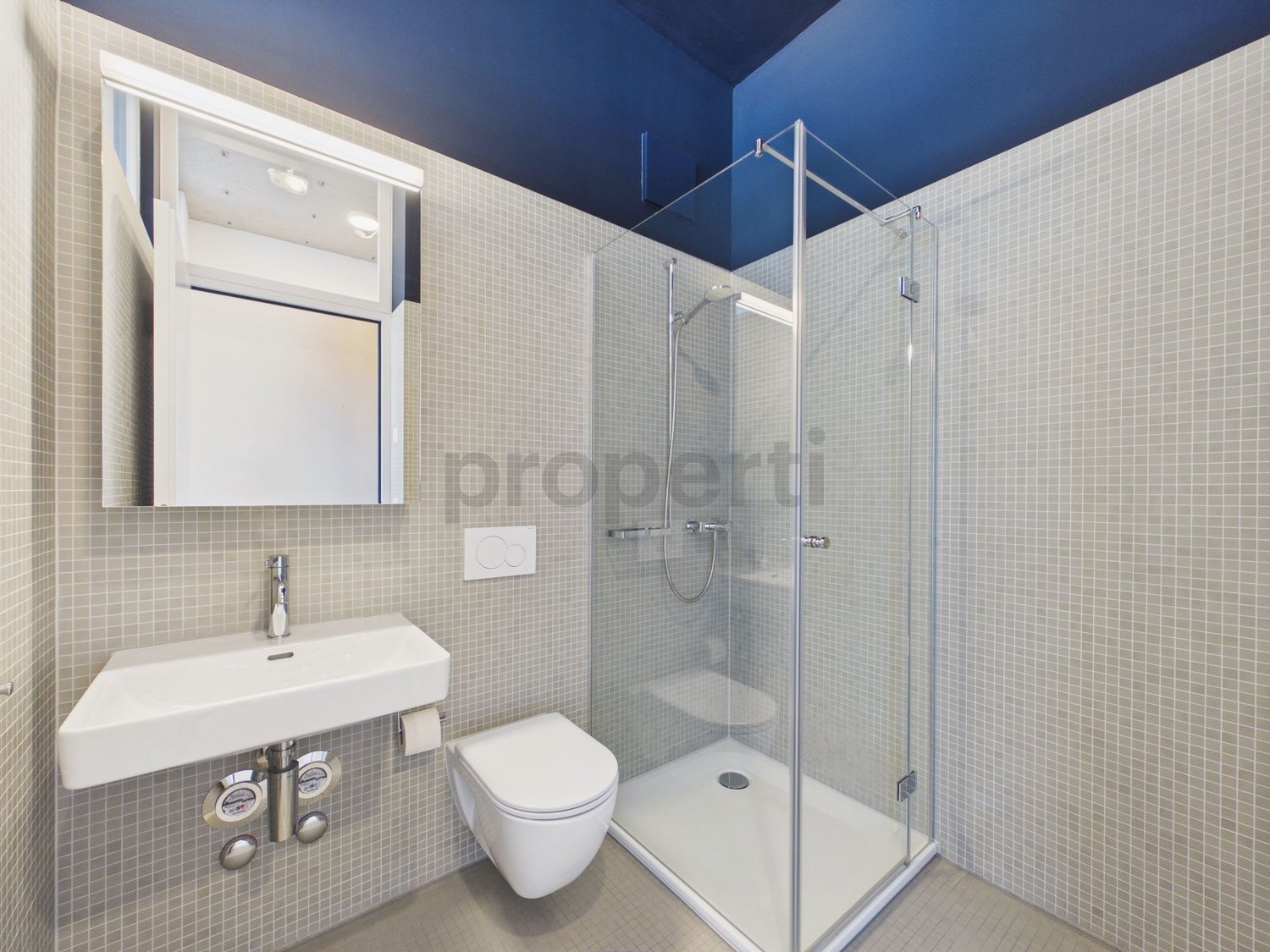 Appartement de 2 ½ pièces, photo 6 sur 9