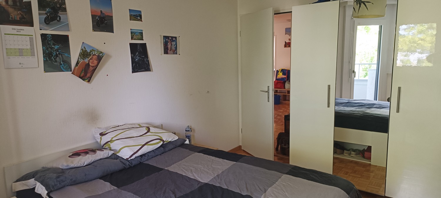 Room in a shared flat
