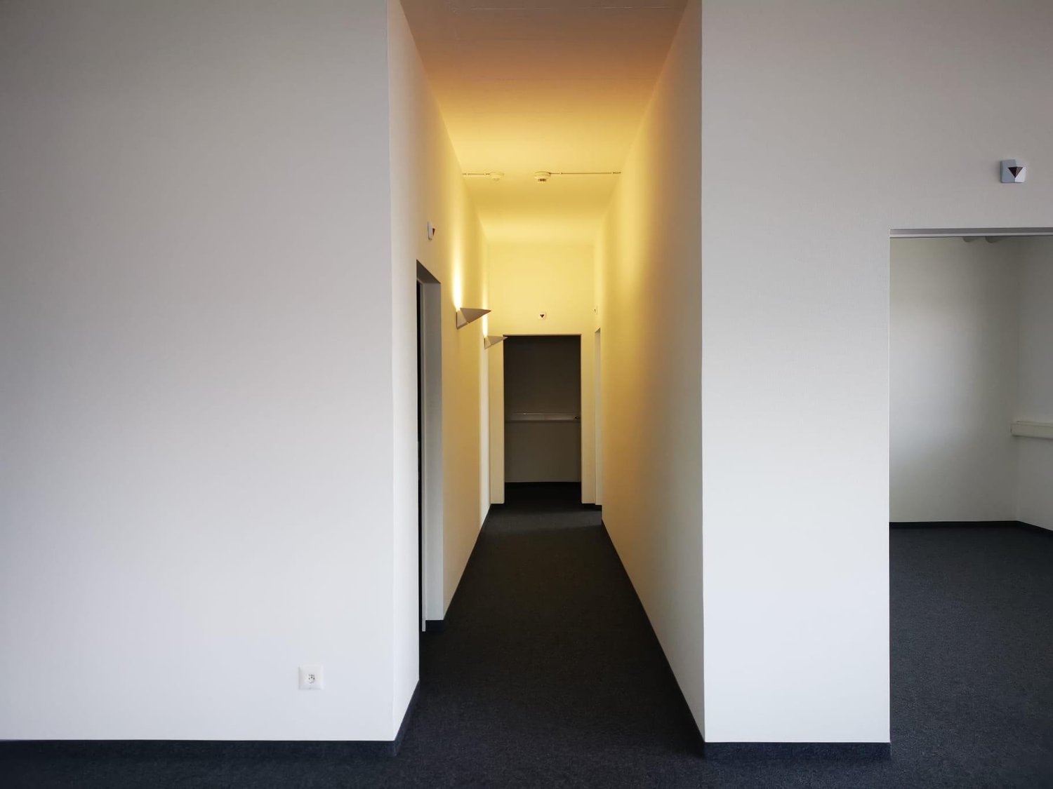 223m² bureau