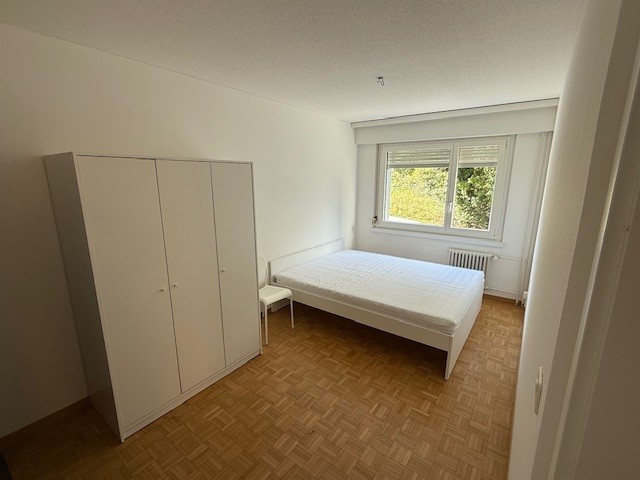 Chambre dans une colocation