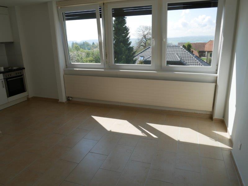 2 pièces appartement, photo 4 sur 4