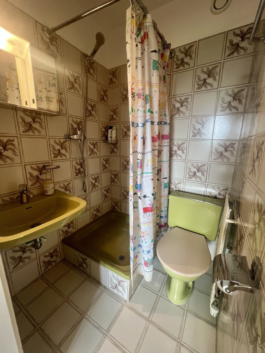 2 ½ rooms apartment