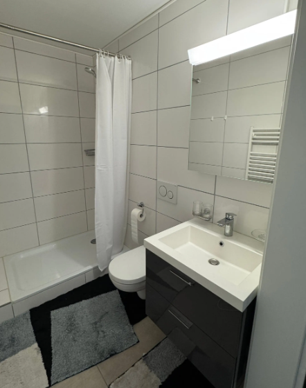 Appartement de 2 ½ pièces, photo 6 sur 10