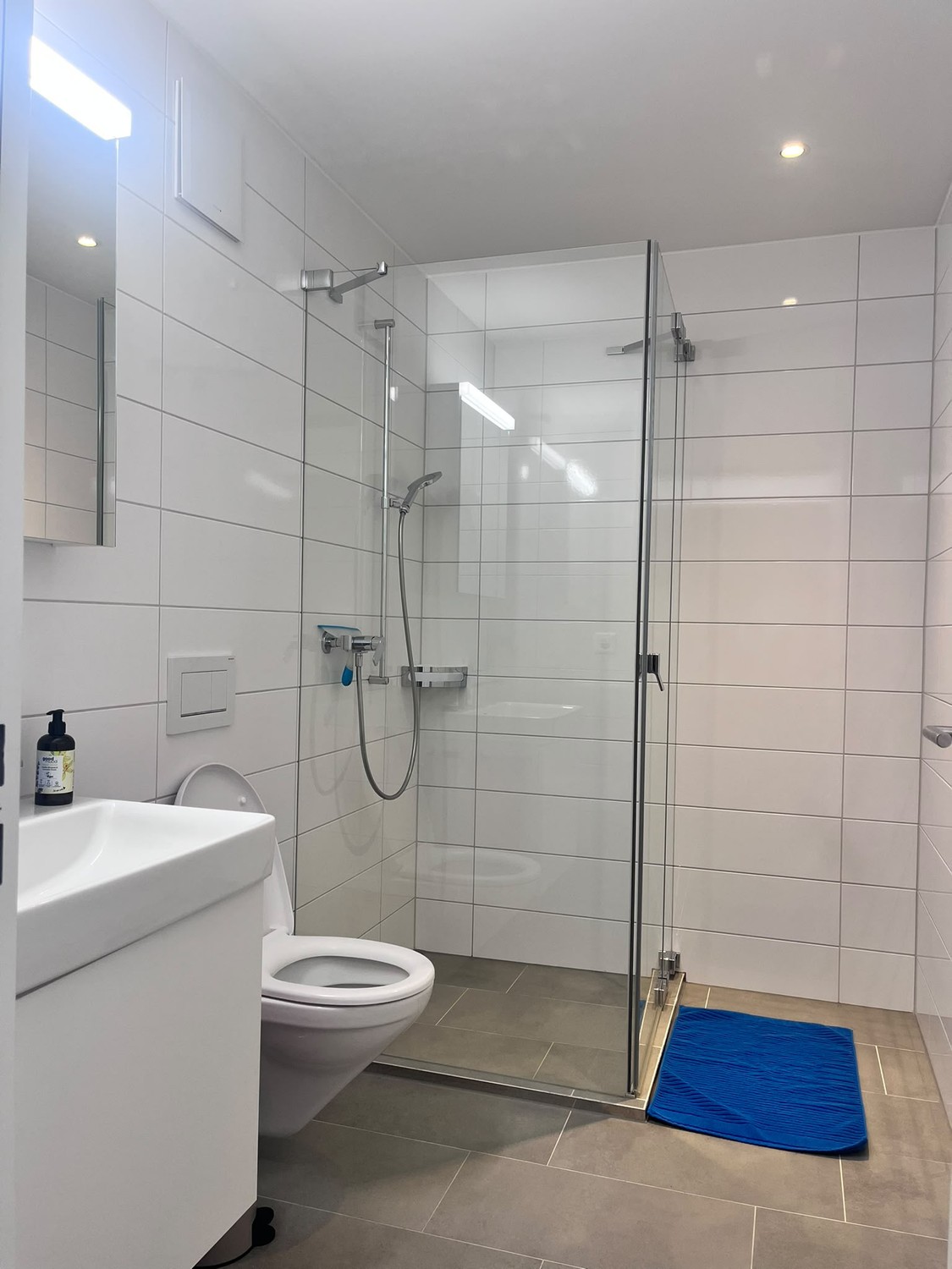 Appartement de 1 ½ pièces, photo 5 sur 6