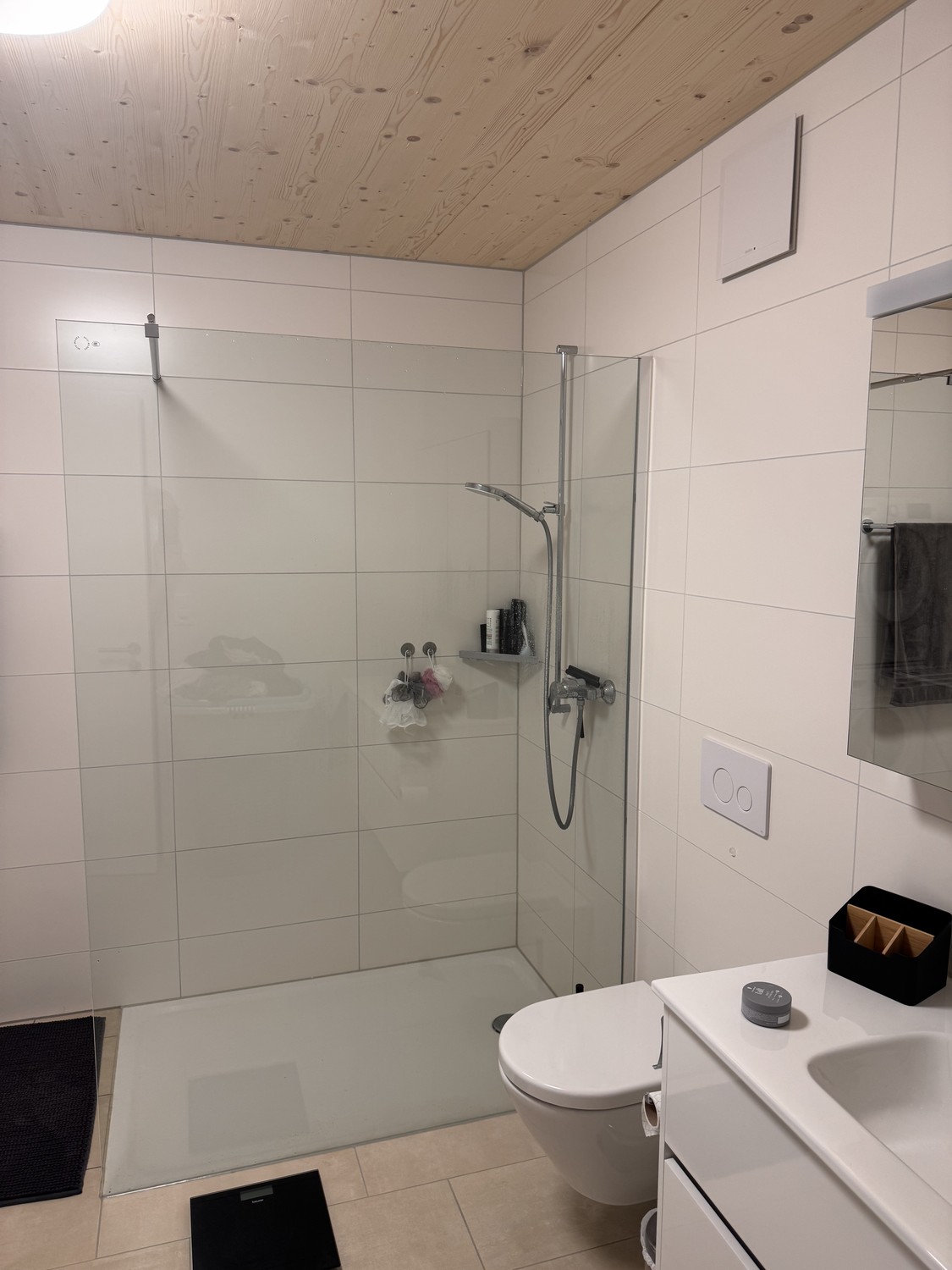 Appartement de 1 ½ pièces