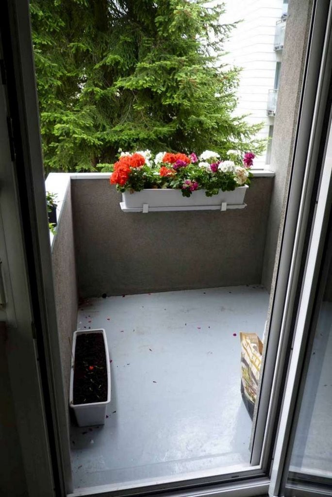 Appartement de 1 ½ pièces, photo 5 sur 6