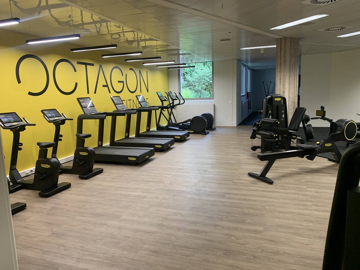 350m² office