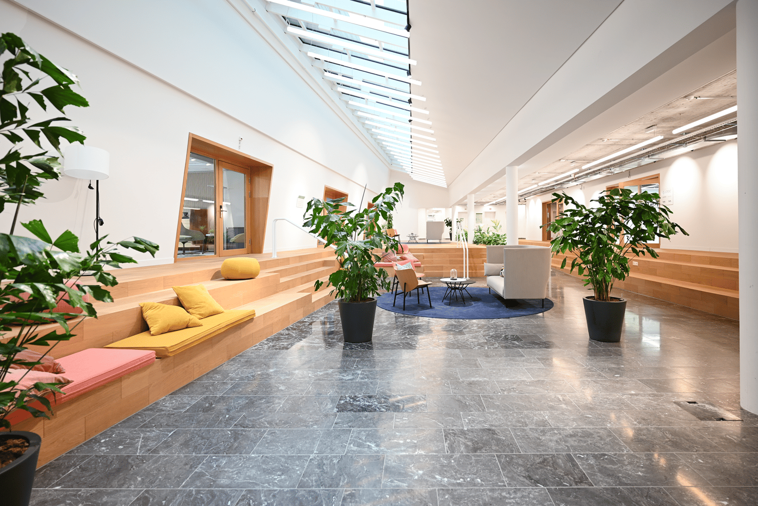 244m² bureau