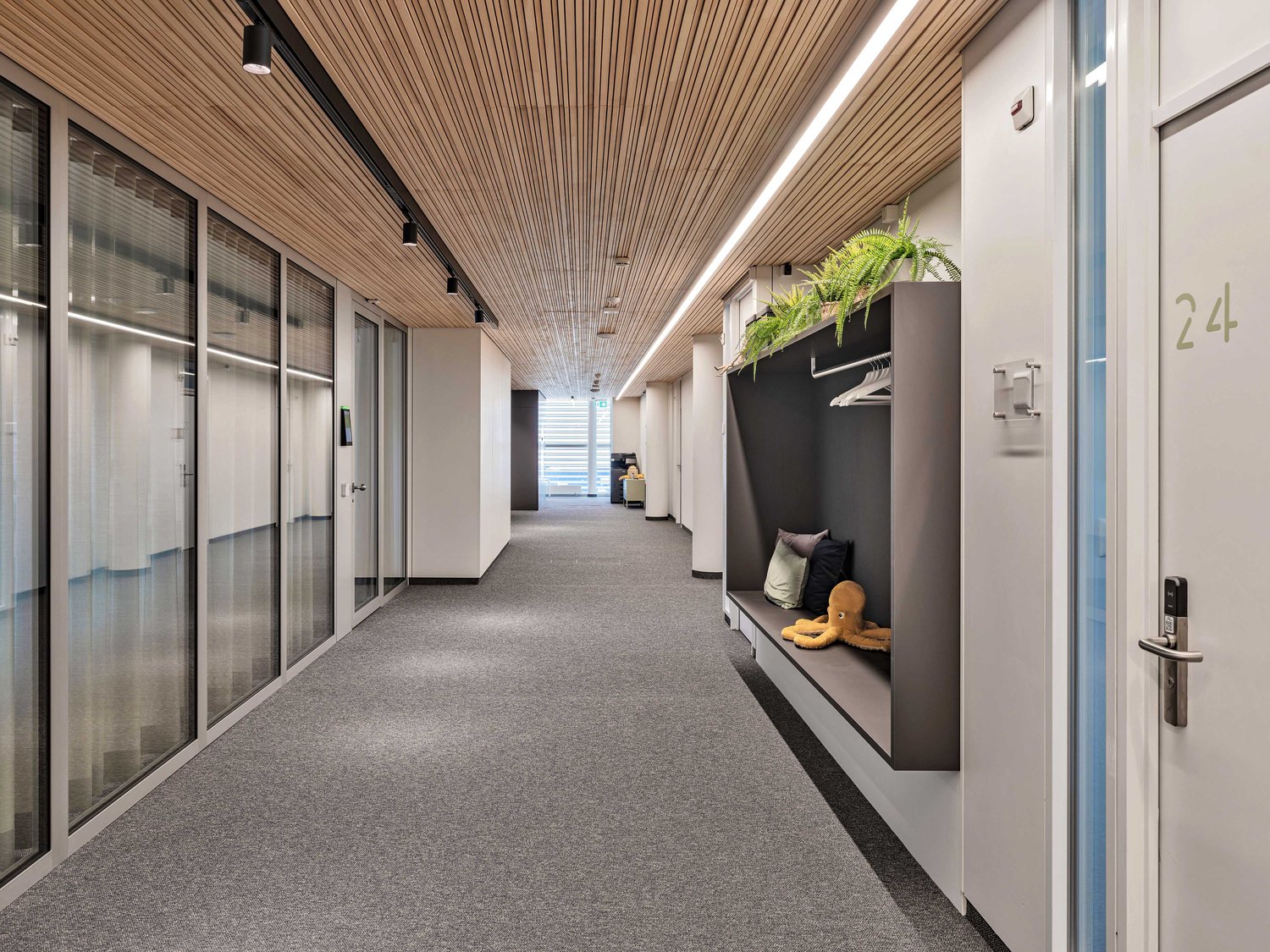 244m² bureau